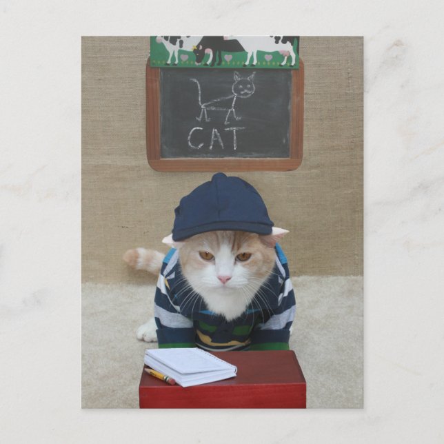 Enseignant amusant à la carte postale parent (Devant)