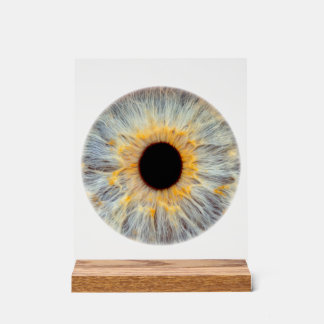 Enseigne en acrylique pour l'oeil