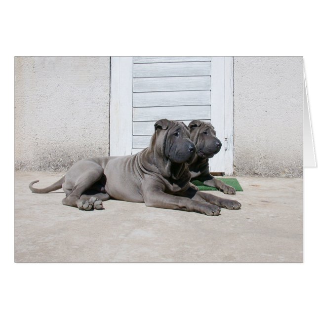 Ensemble... (Devant horizontal)