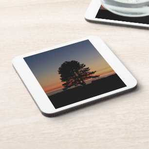 Ensemble de 6 dessous de verre en liège durables a