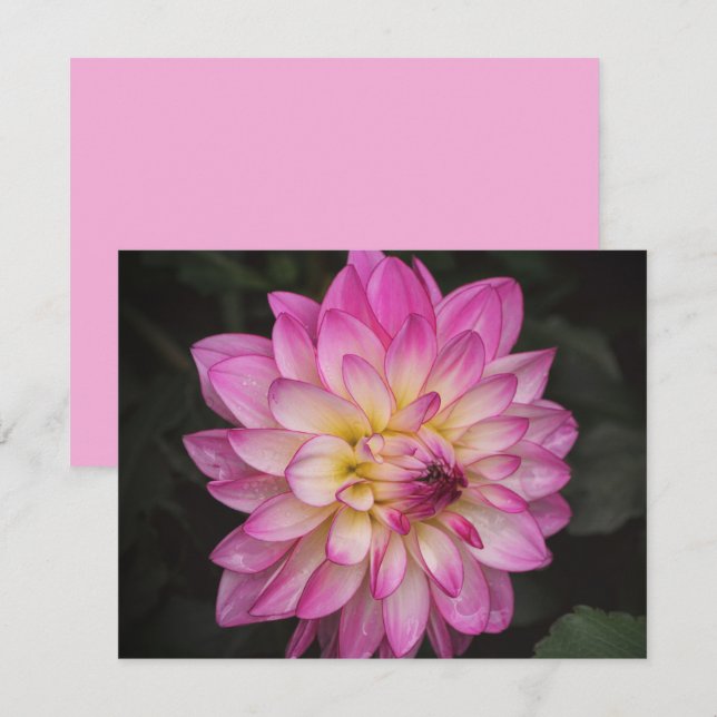 Ensemble de cartes de notes d'art de fleurs de dah (Devant / Derrière)