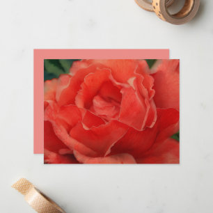 Ensemble de cartes de notes d'art de rose rose cor