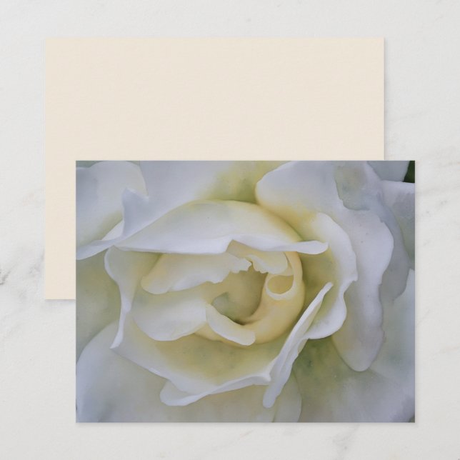 Ensemble de cartes de notes Fleur d'art Rose Blanc (Devant / Derrière)
