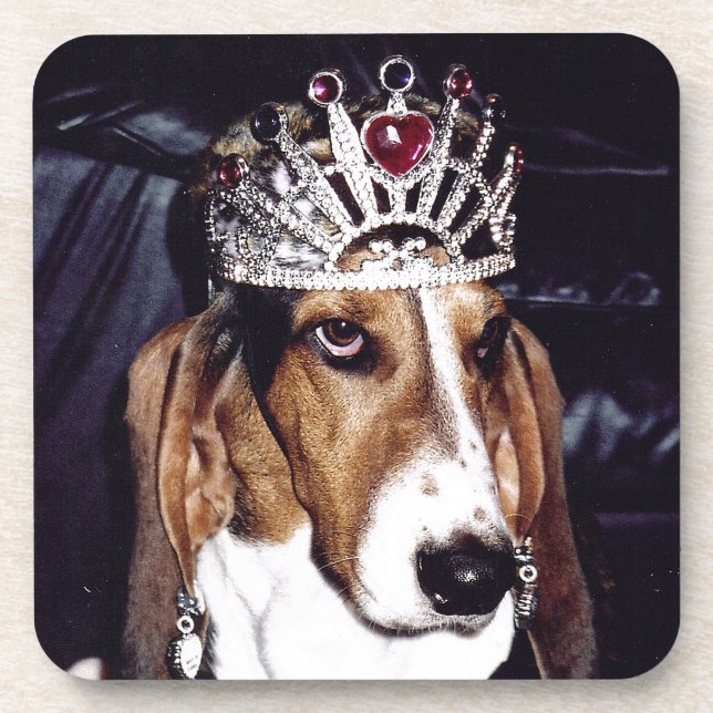Ensemble de dessous de verre de Basset Hound de 6 (Devant)