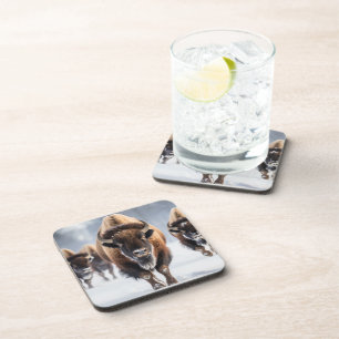 Ensemble de Dessous de verre de Buffalo de Yellows