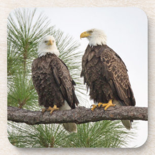 Ensemble de dessous de verre de H&O