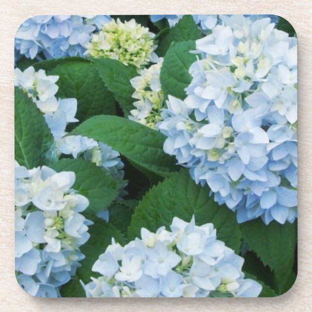 Ensemble de Dessous de verre Hydrangea (Devant)