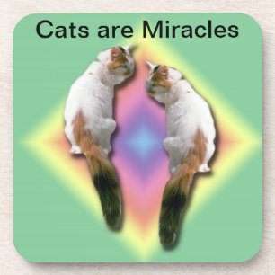 Ensemble de dessous de verre - Les chats sont des 