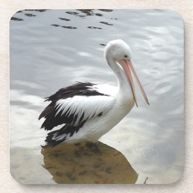 Ensemble de dessous de verre Pretty Pelican (Devant)