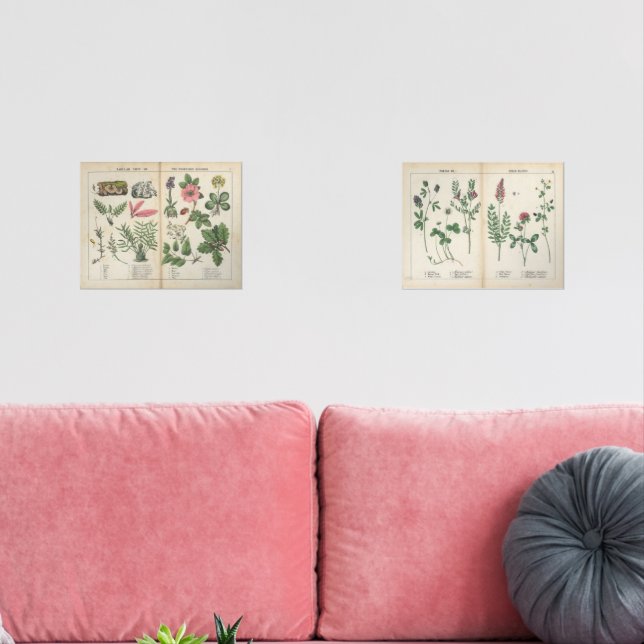 Ensemble de deux exemplaires de Fleur sauvage anti (Salon)