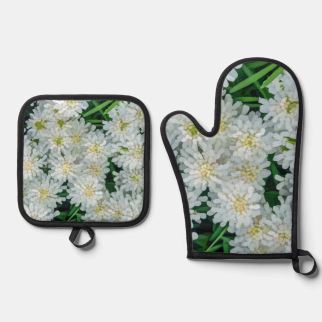 Ensemble De Gant De Cuisine Et De Manique Candytuft White Flower Graphic Art (Recto)