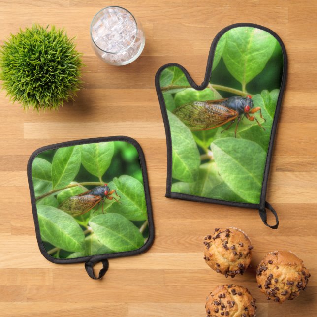 Ensemble De Gant De Cuisine Et De Manique Red Eyed Cicada (De haut en bas)