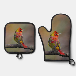 Ensemble De Gant De Cuisine Et De Manique Scarlet Tanager Molting Photographie originale