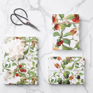 Ensemble de papier d'emballage de fruits et de feu