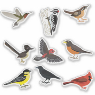 Ensemble de stickers jardin Oiseaux