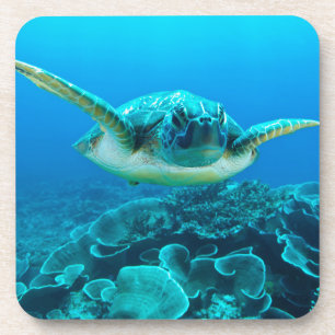 Ensemble de tortue de mer de 6 dessous de verre