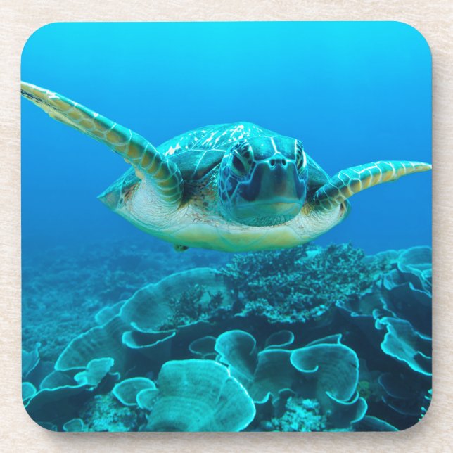 Ensemble de tortue de mer de 6 dessous de verre (Devant)