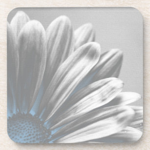 Ensemble floral bleu-clair de dessous de verre de