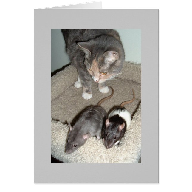 ensemble nous pouvons (Devant)