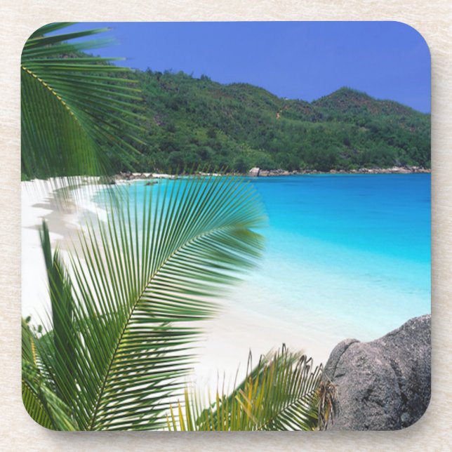 Ensemble tropical de dessous de verre de plage de (Devant)