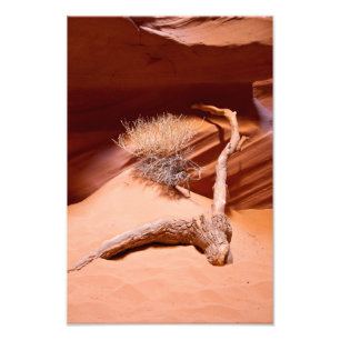 Entdecken Sie Arizona Fotodruck