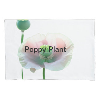 🌺 Entdecken Sie die Schönheit der Natur - POPPY B Kissenbezug