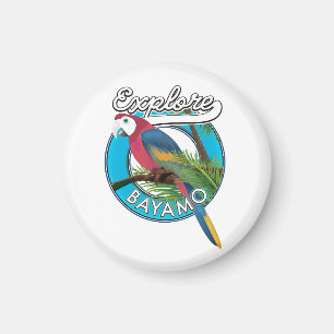Entdecken Sie Hawaii Retro-Logo Magnet