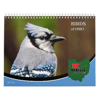Entdecken Sie Ohio Outdoor Birds of Ohio Calendar Kalender
