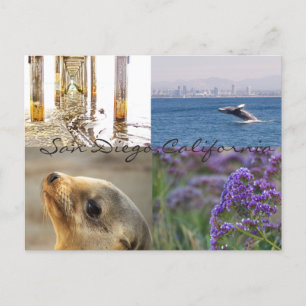 Entdecken Sie San Diego Postkarte