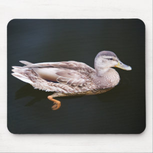 Ente 907b mousepad