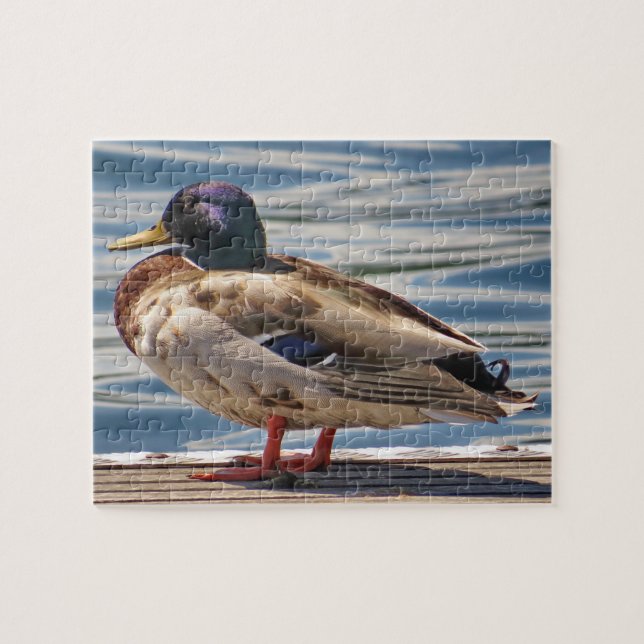 Ente am Meer (Horizontal)