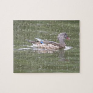 Ente am Puzzle-See