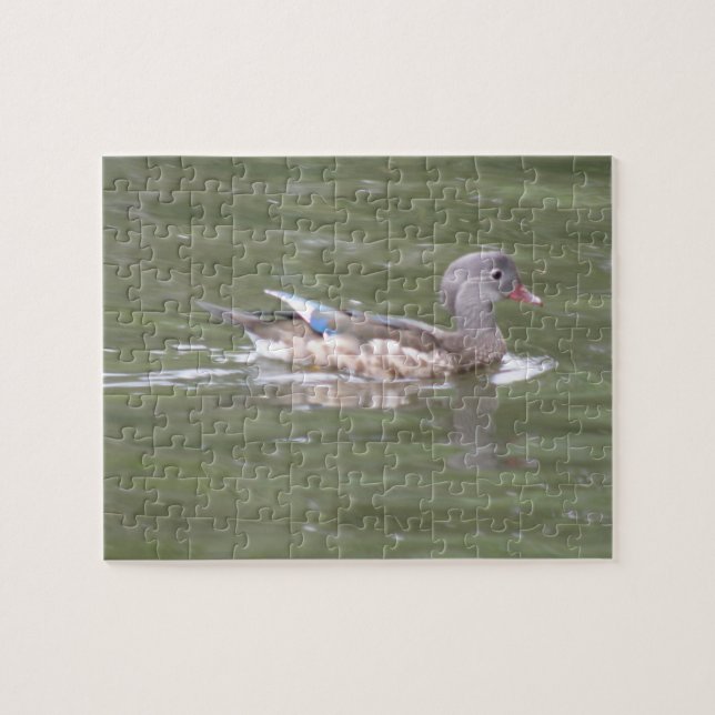Ente am Puzzle-See (Horizontal)