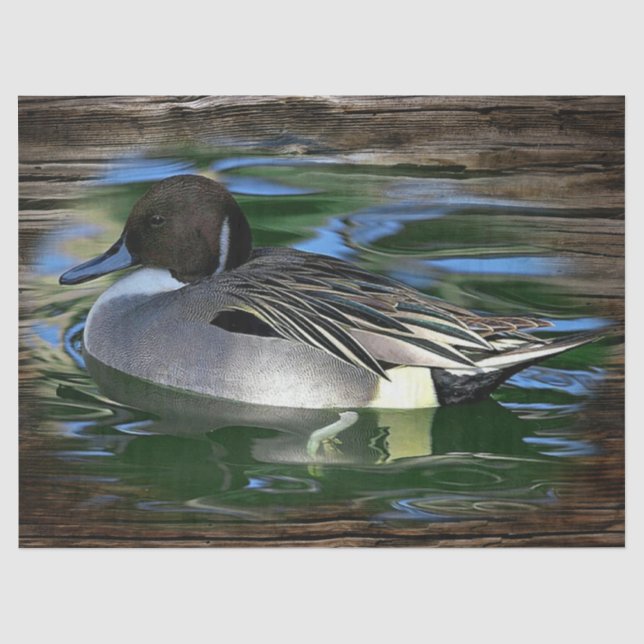 Ente am See Seidenpapier (Vorderseite)