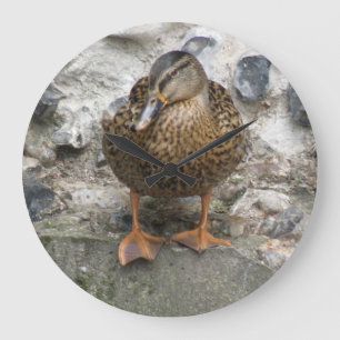 Ente an der Wall-Uhr Große Wanduhr