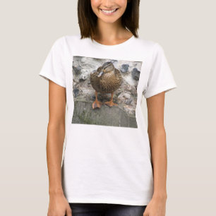 Ente an der Wand Ladys T Shirt
