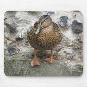 Ente an der Wand Mousepad