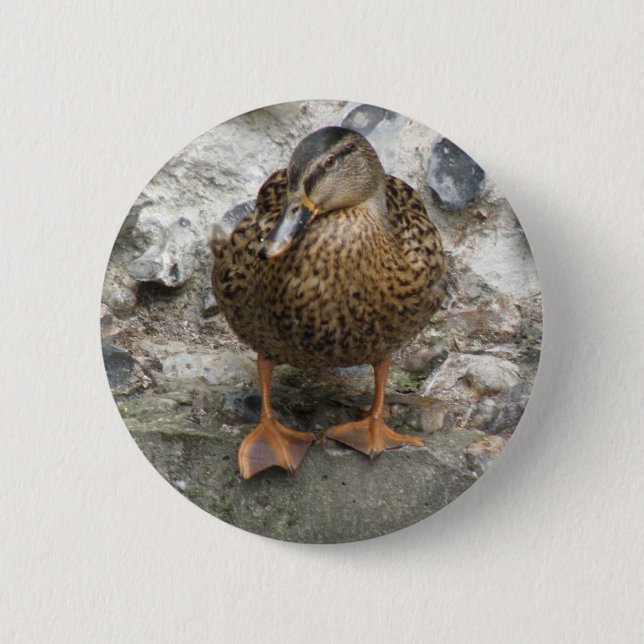Ente an einem Wandknopf Button (Vorderseite)