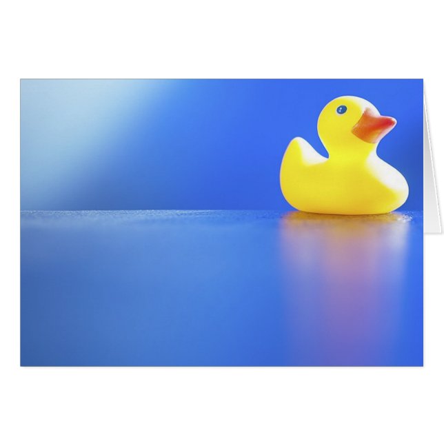 Ente auf Blau (Vorderseite (Horizontal))