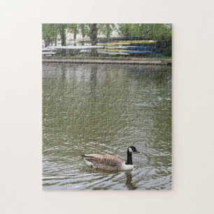 Ente auf dem Fluss Avon Bird Nature Fotografy