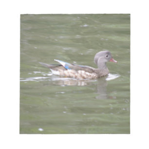 Ente auf dem Notepad Notizblock