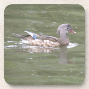 Ente auf dem Untersetzer Lake Cork