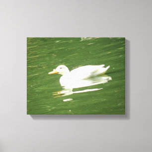 Ente auf dem Wasser Leinwanddruck