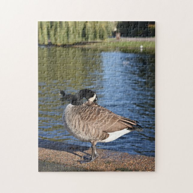 Ente auf der Wasservogelfotografie (Vertikal)