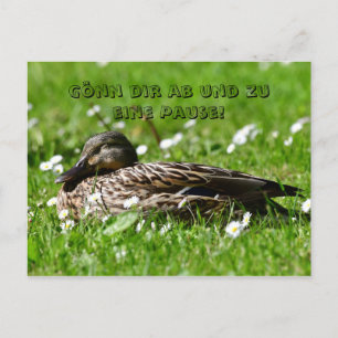 Ente auf einer Wiese Postkarte