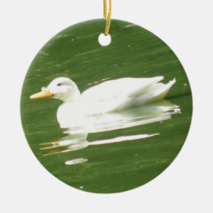 Ente auf Wasser Brunnengeburt Keramik Ornament
