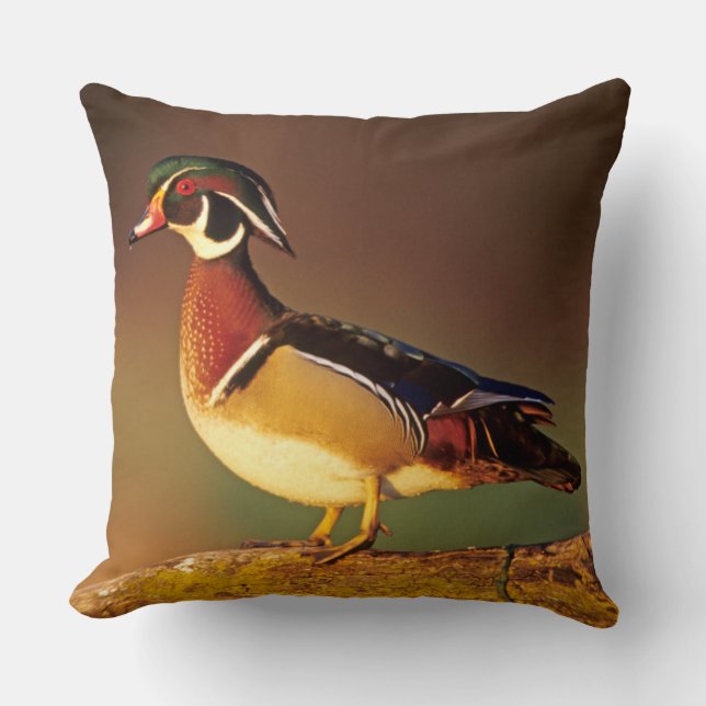 Ente aus männlichem Holz, Illinois Kissen (Vorderseite)