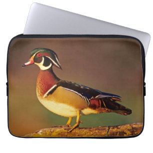 Ente aus männlichem Holz, Illinois Laptopschutzhülle