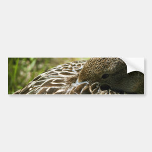 Ente Autoaufkleber