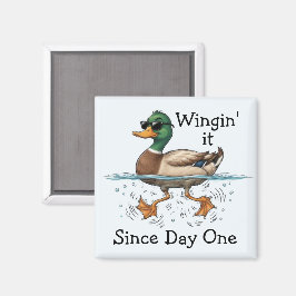 Ente, die improvisiert magnet